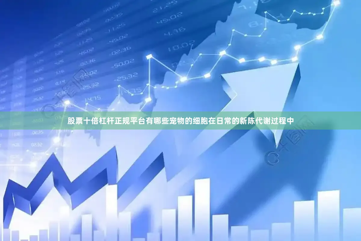 股票十倍杠杆正规平台有哪些宠物的细胞在日常的新陈代谢过程中