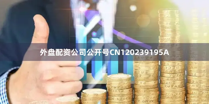 外盘配资公司公开号CN120239195A